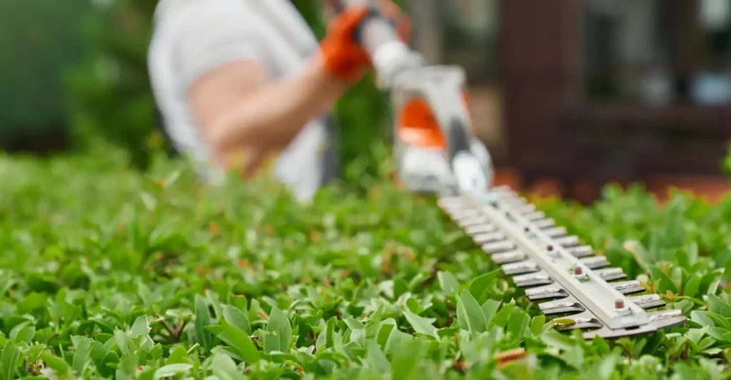 An image of a hedge being trimmed to show the garden maintenance side of property maintenance that RSM Property Solutions offers.